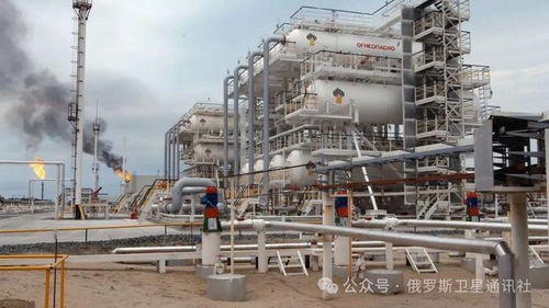 俄羅斯石油出口策略調(diào)整 填補(bǔ)歐盟缺口，開辟新市場(chǎng)